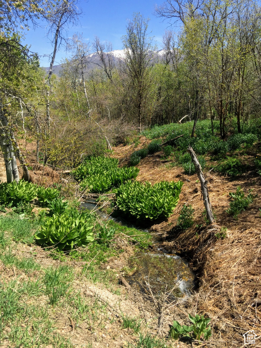 2522 N NORDIC VALLEY DR UNIT 23, Eden, UT, 84310