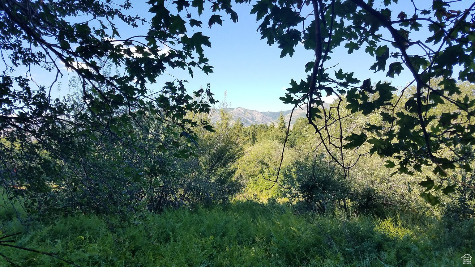 2522 N NORDIC VALLEY DR UNIT 23, Eden, UT, 84310