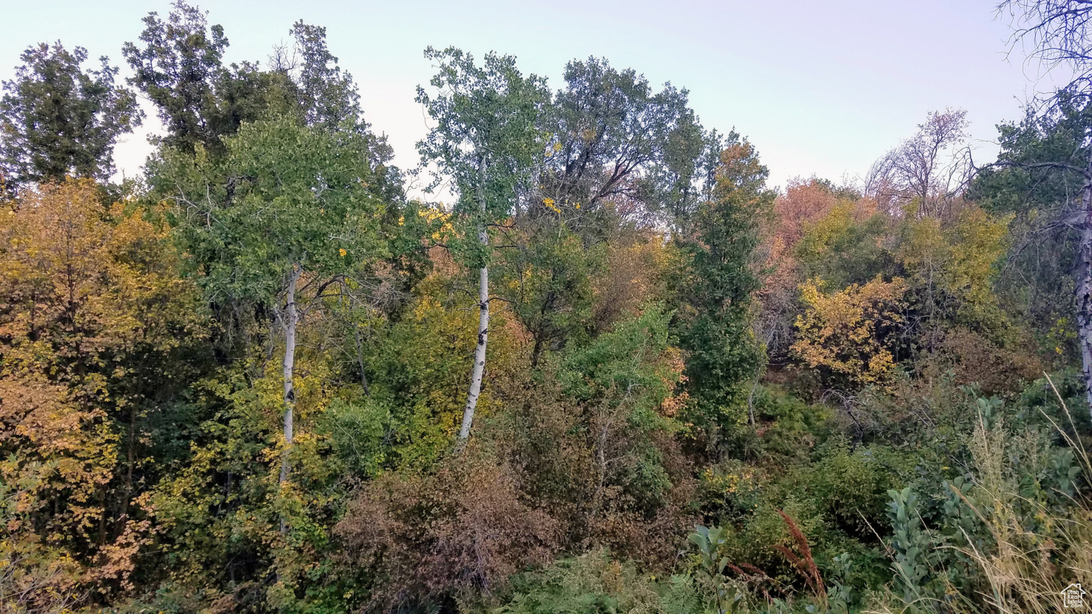 2522 N NORDIC VALLEY DR UNIT 23, Eden, UT, 84310