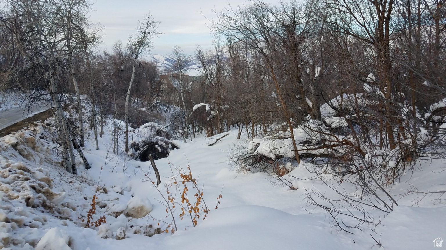 2522 N NORDIC VALLEY DR UNIT 23, Eden, UT, 84310