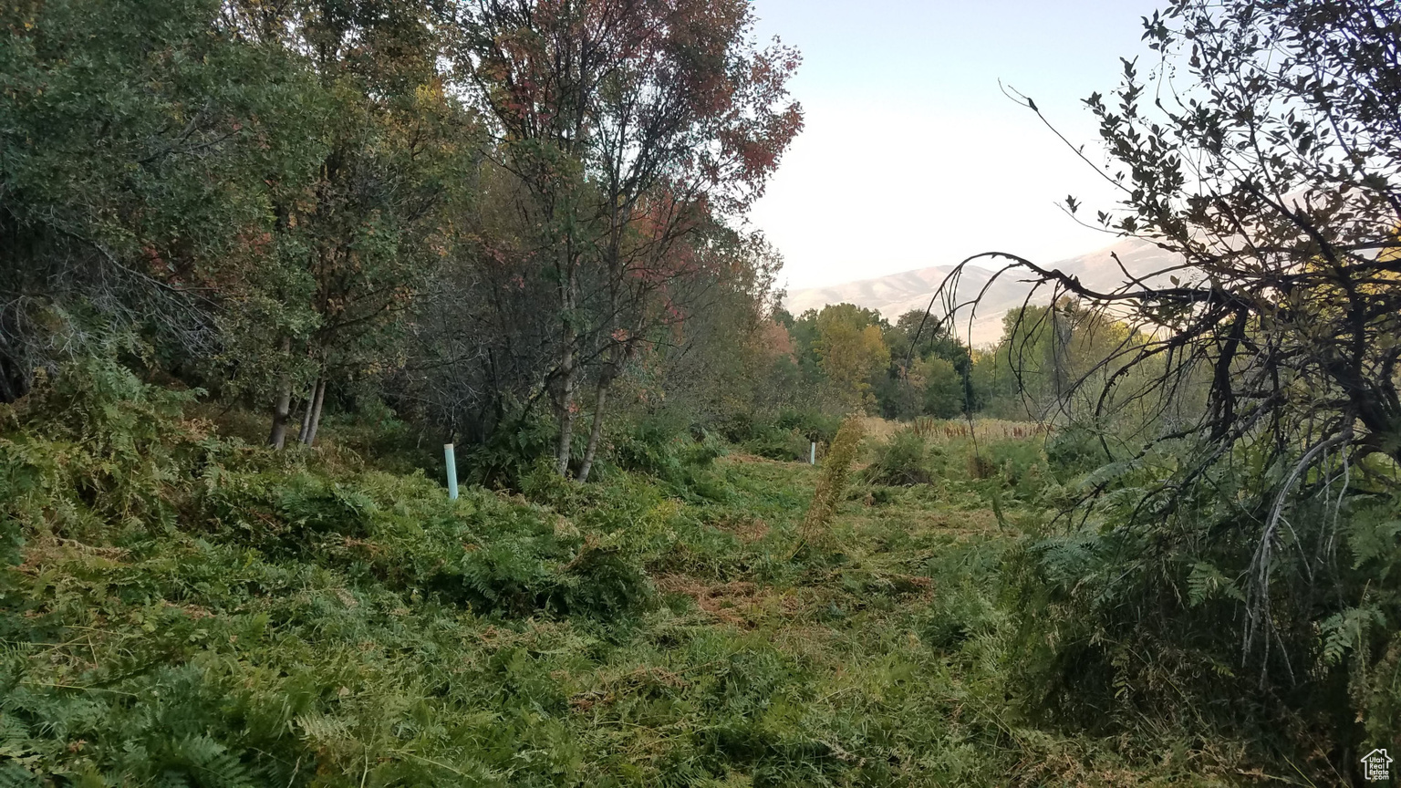 2522 N NORDIC VALLEY DR UNIT 23, Eden, UT, 84310