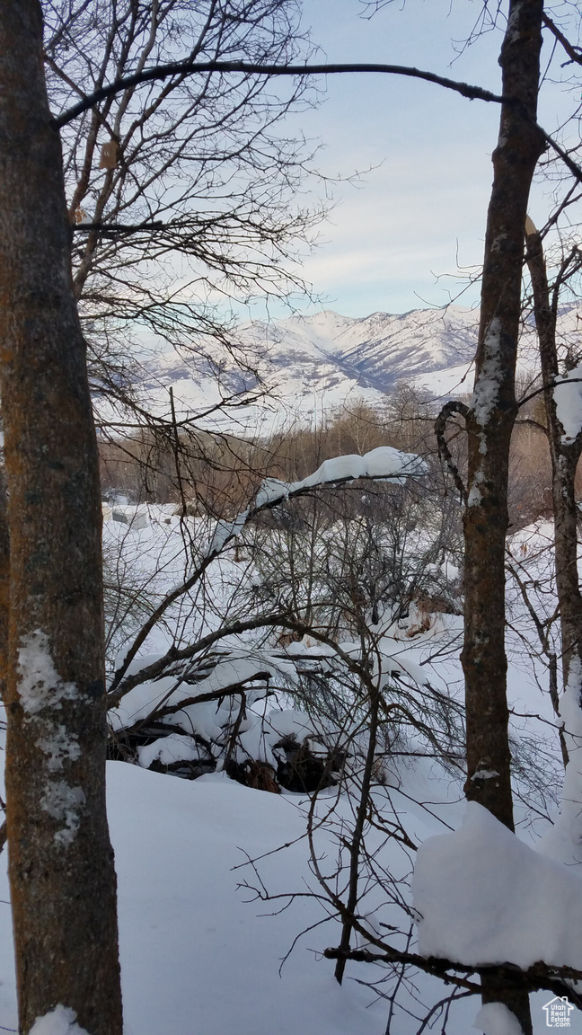 2522 N NORDIC VALLEY DR UNIT 23, Eden, UT, 84310