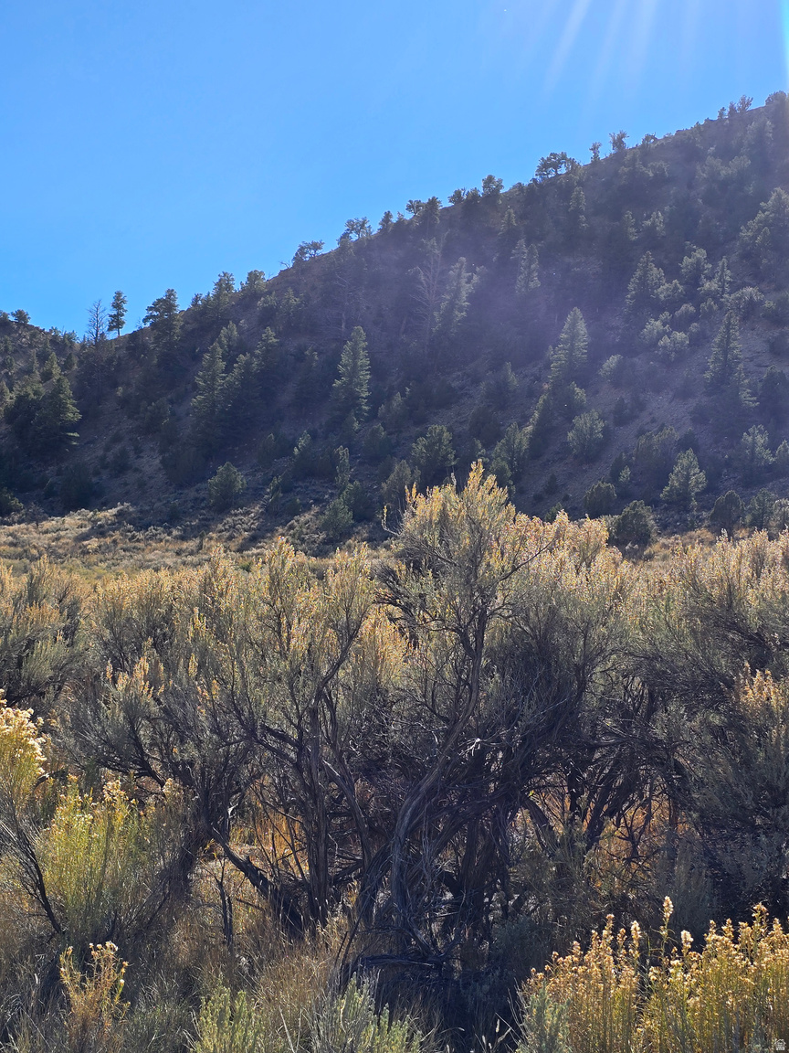  UNIT 2, Duchesne, UT, 84021