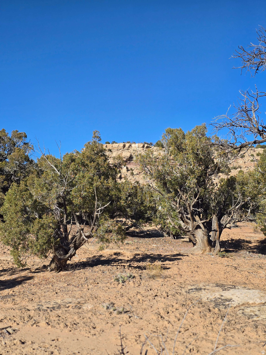  UNIT 123, Fruitland, UT, 84027