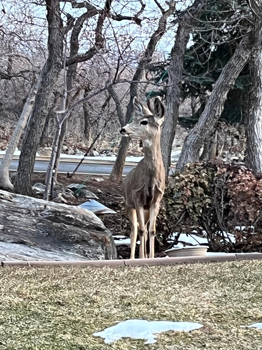 5210 SKYLINE PKWY, Ogden, UT, 84403