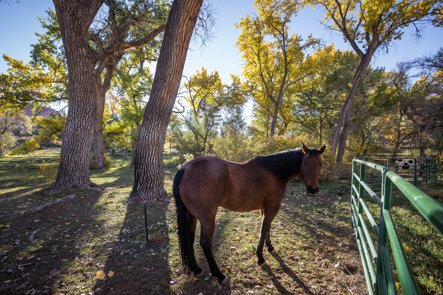 2927 S EAST BENCH RD, Moab, UT, 84532