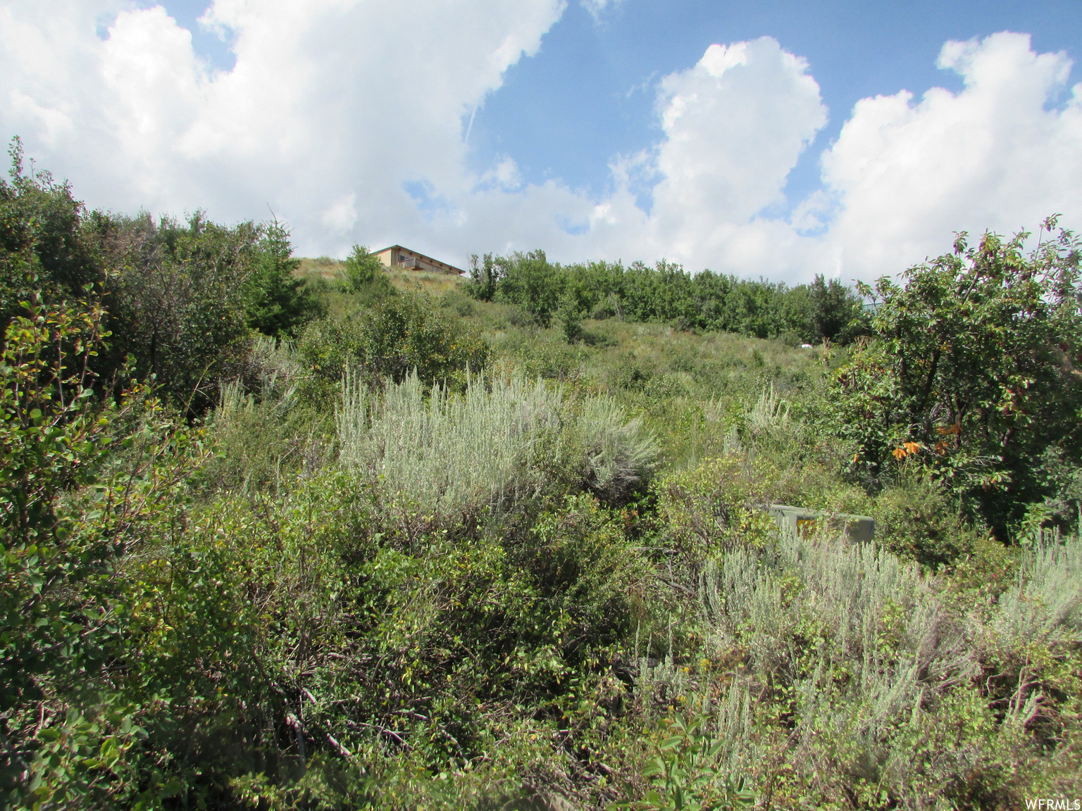 1234 LAKEVIEW DR UNIT 64, Garden  City, UT, 84028