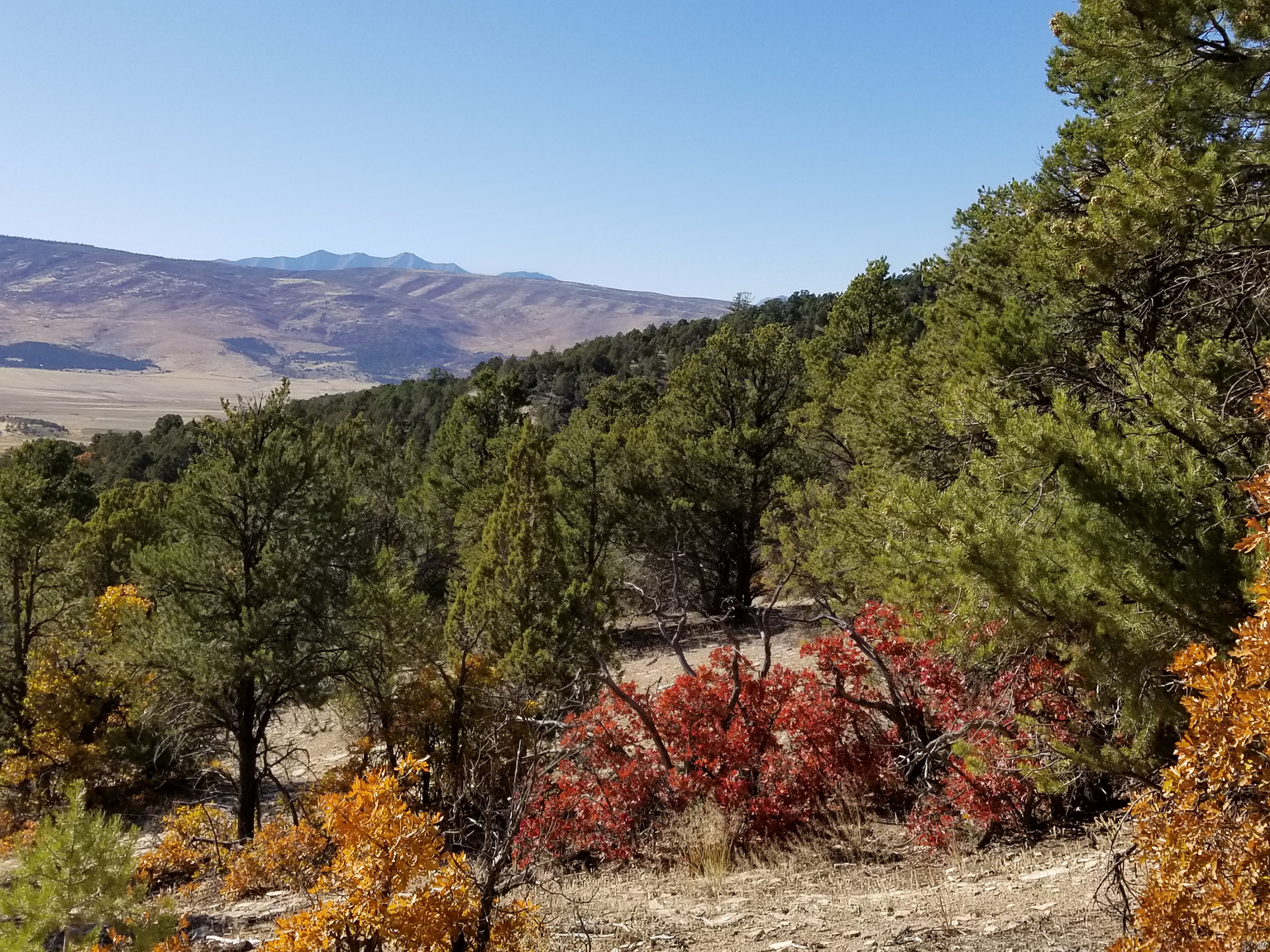 8475 S STATE ST, Sandy, UT, 84070