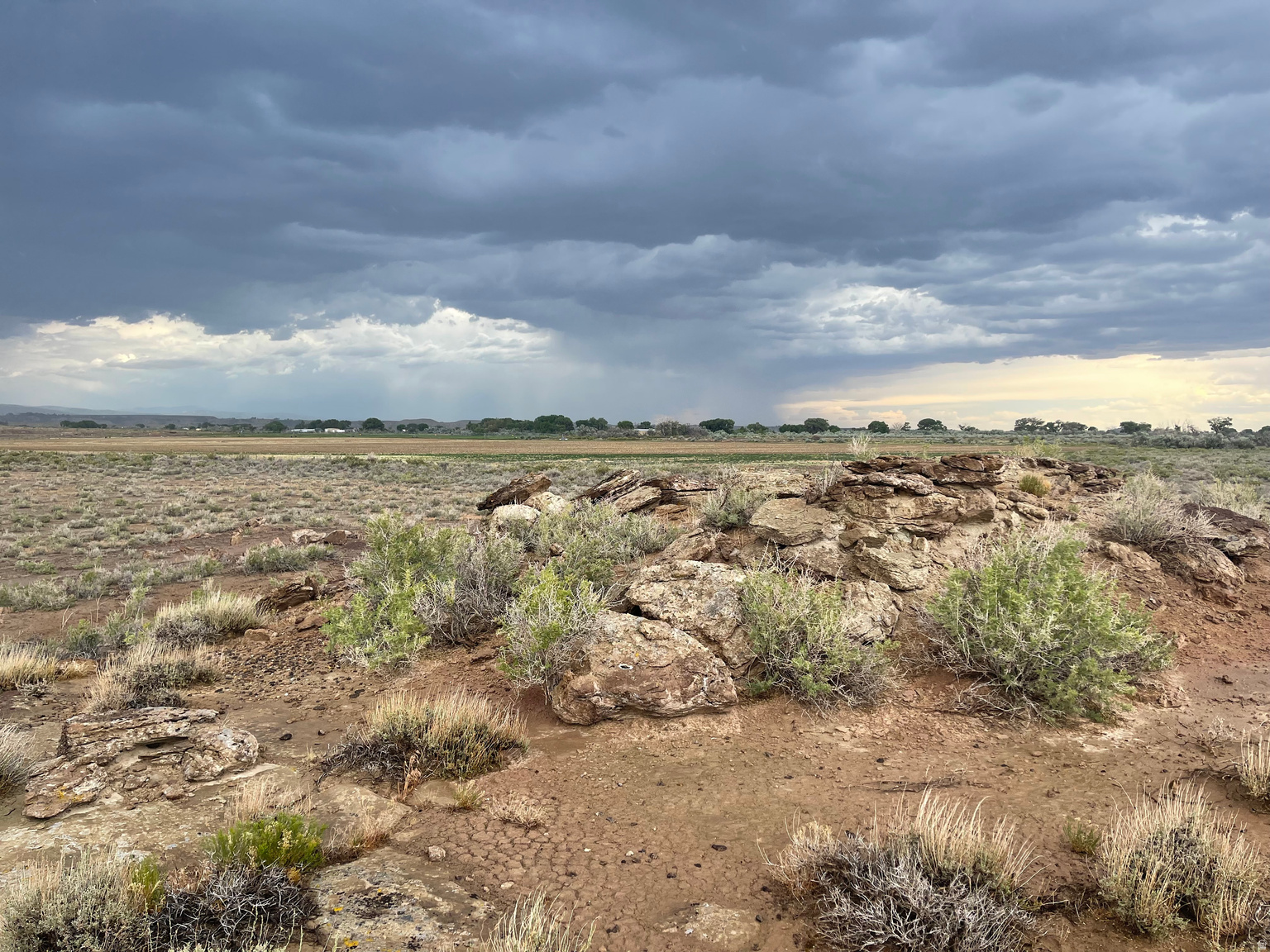 13000 W 5000 S UNIT 0008, Arcadia, UT, 84021