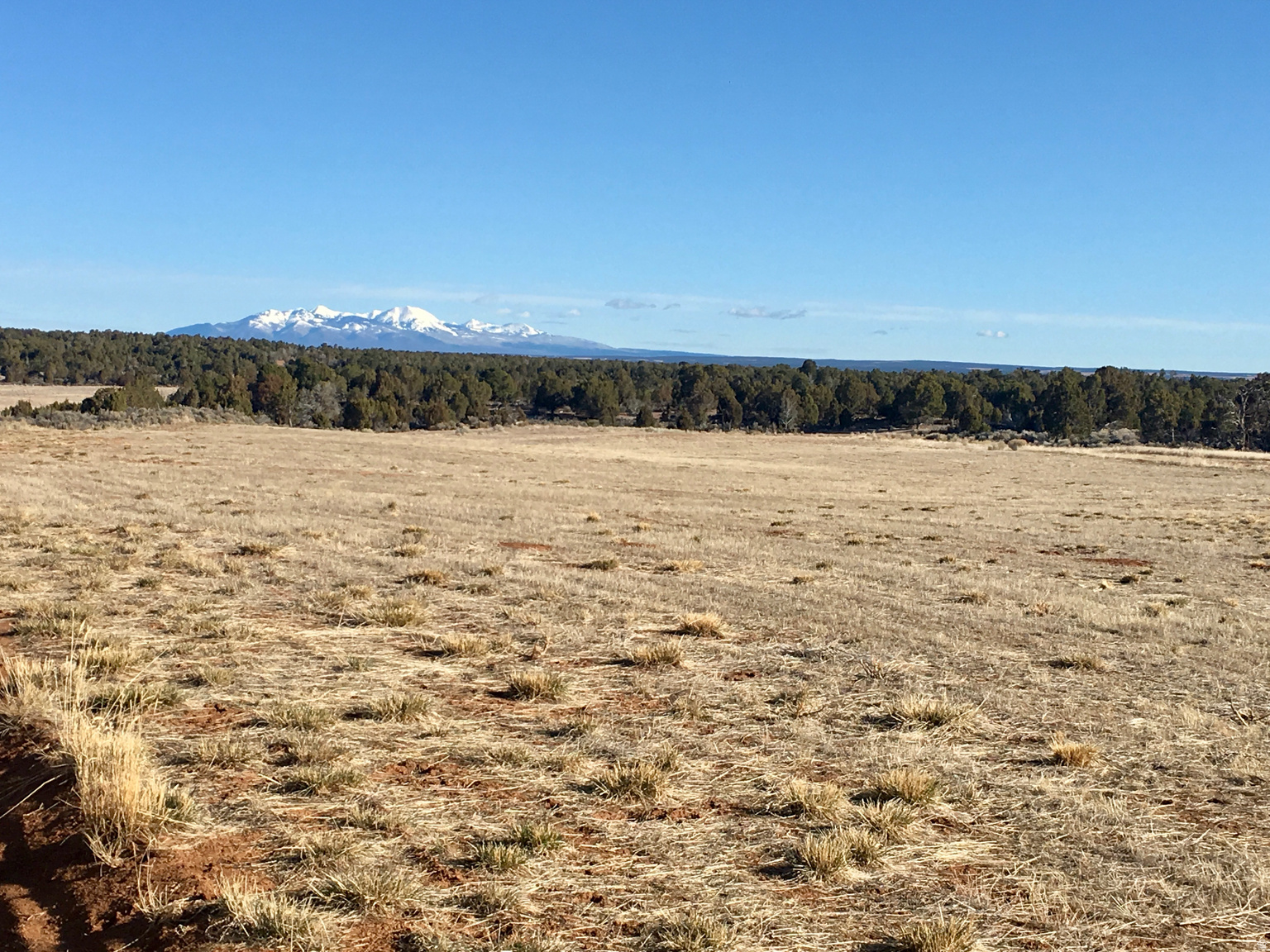 224 E LUCILLE LN UNIT&nbsp;4 S, Cedar  Fort, UT, 84013