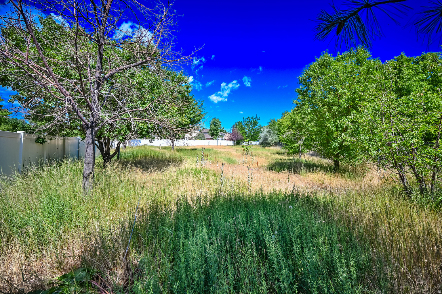 847 E WILLOW SPRINGS LN S, Draper, UT, 84020
