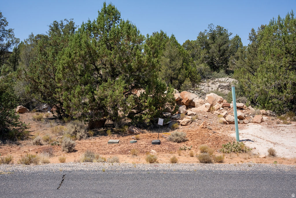 1245 W CLOVIS CIR UNIT 96, Dammeron  Valley, UT, 84783