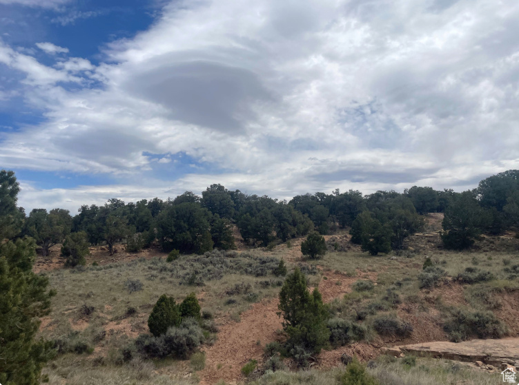 997 W CISCO RUN UNIT E41, Garden  City, UT, 84028
