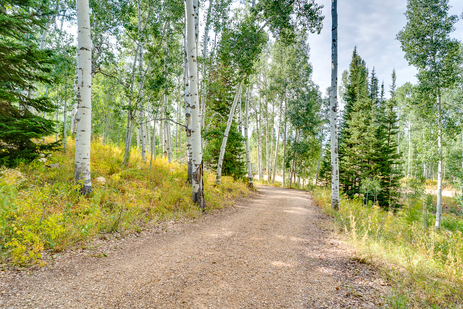 12084 ANTELOPE DR UNIT 2158, Heber  City, UT, 84032