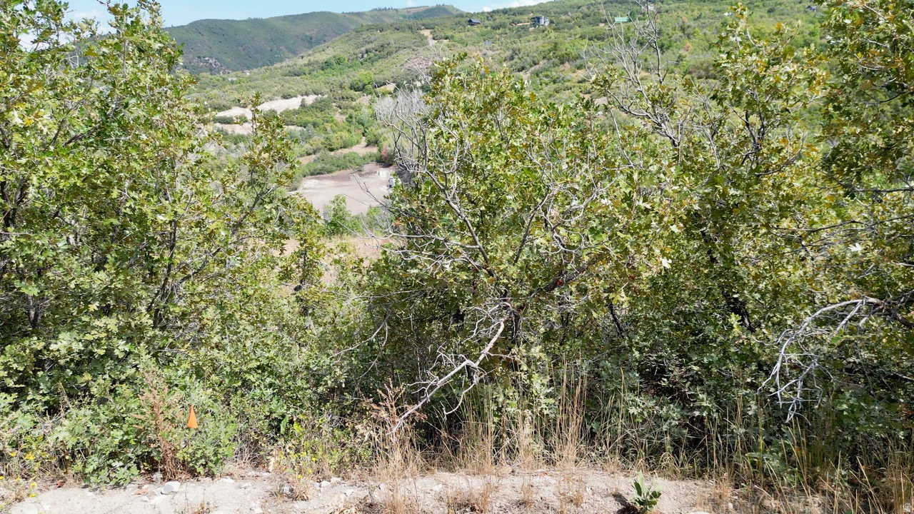 23203 N 14133 E UNIT 4, Fairview, UT, 84629