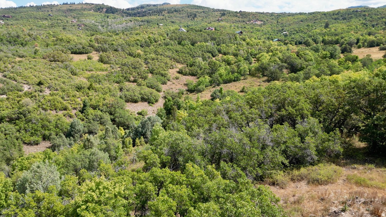 23203 N 14133 E UNIT 4, Fairview, UT, 84629