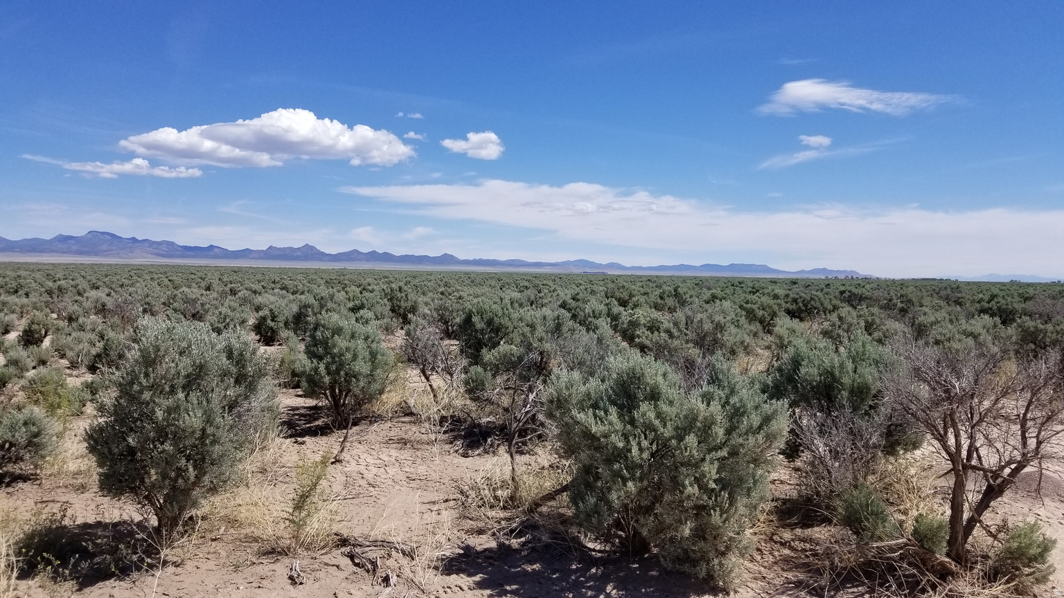 3400 W 5200 N UNIT 5-8, Beryl, UT, 84714