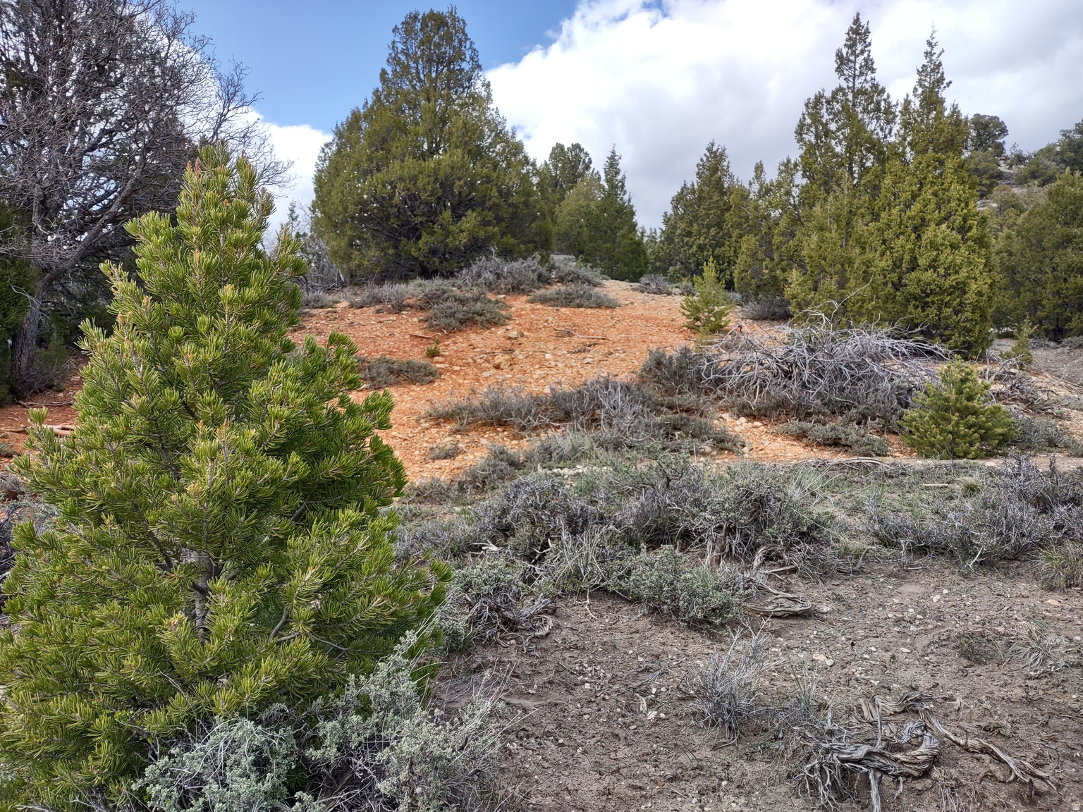  UNIT 10, Alton, UT, 84710
