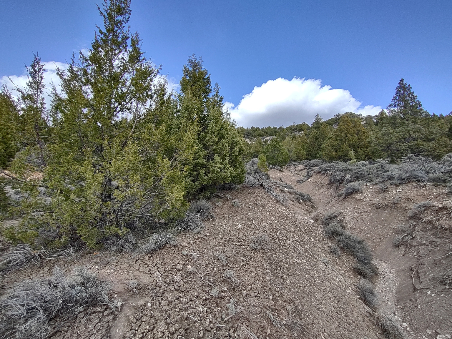  UNIT 10, Alton, UT, 84710