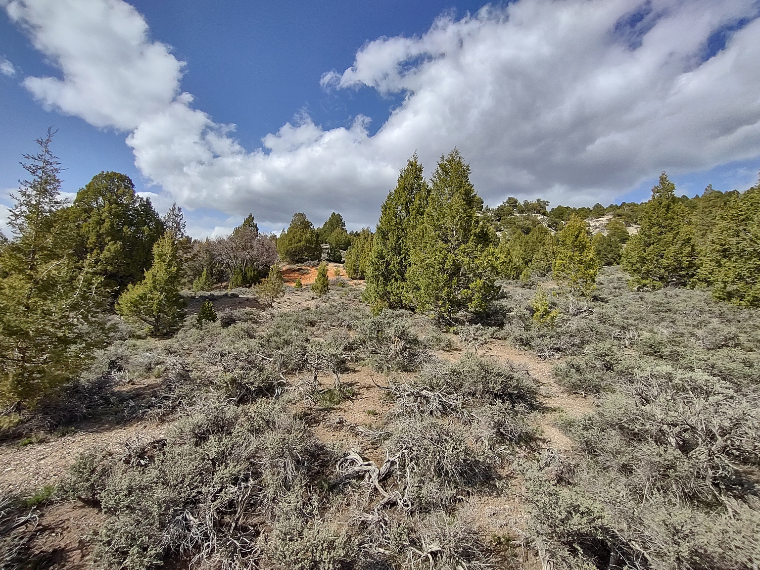  UNIT 10, Alton, UT, 84710