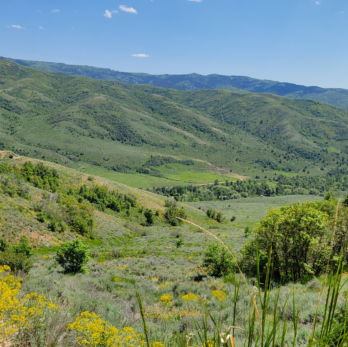 12737 E HIGH PINE CIR N UNIT 54, Huntsville, UT, 84317