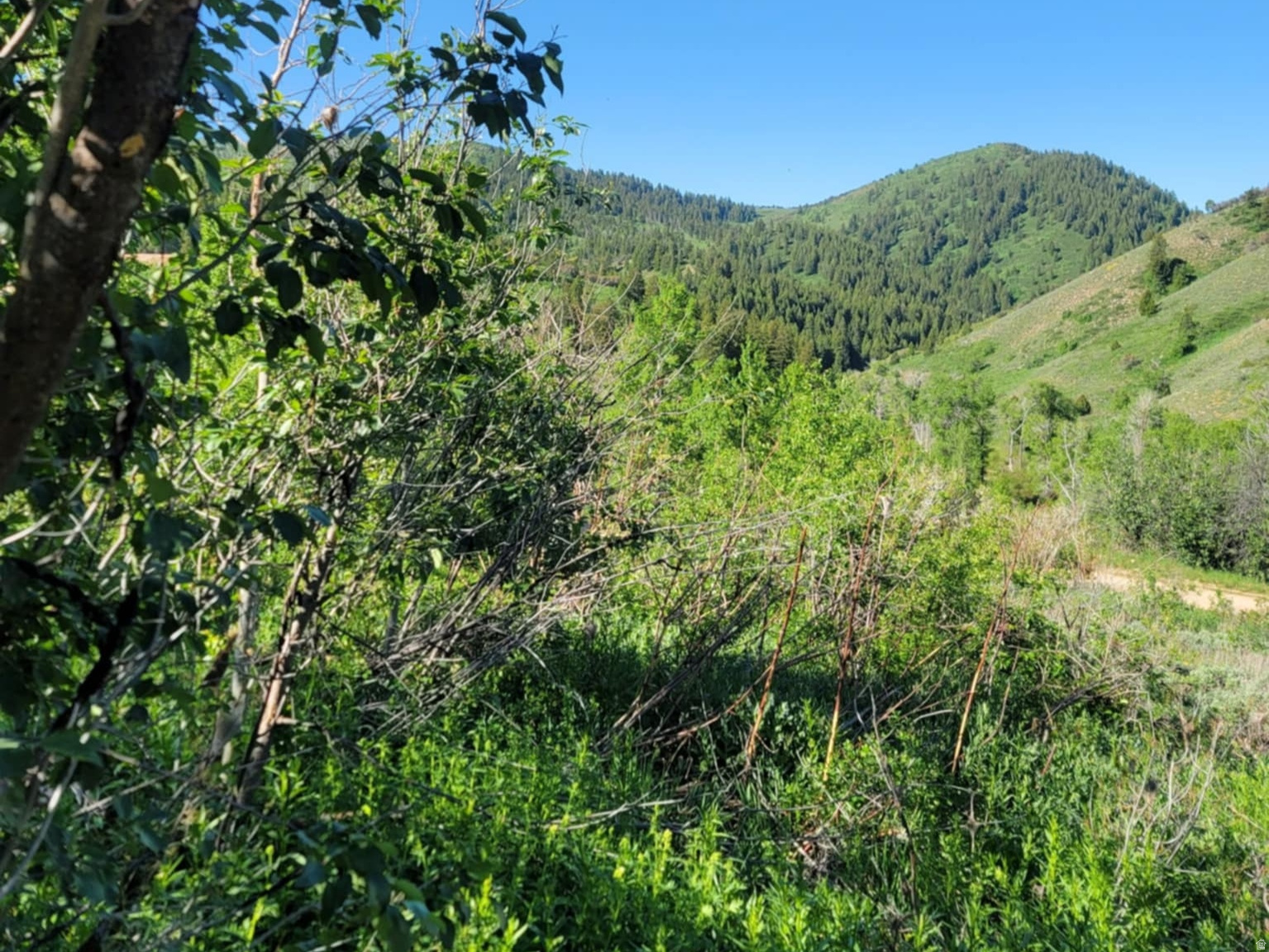 11607 MIDDLE FORK DR UNIT SR16, Huntsville, UT, 84317
