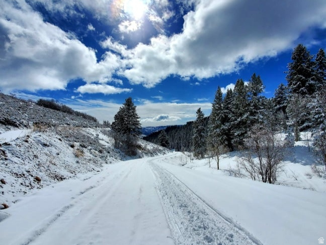 11607 MIDDLE FORK DR UNIT SR16, Huntsville, UT, 84317