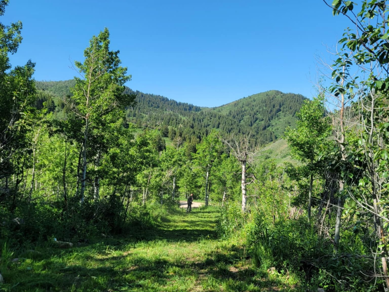11607 MIDDLE FORK DR UNIT SR16, Huntsville, UT, 84317