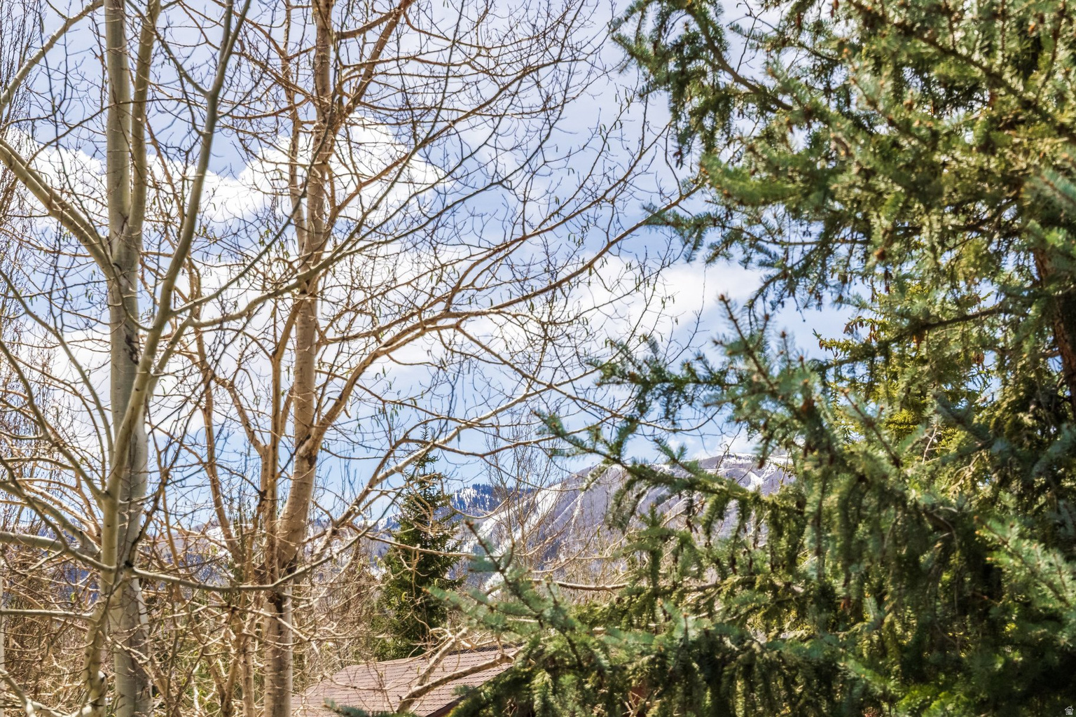 2787 GALLIVAN LOOP, Park  City, UT, 84060