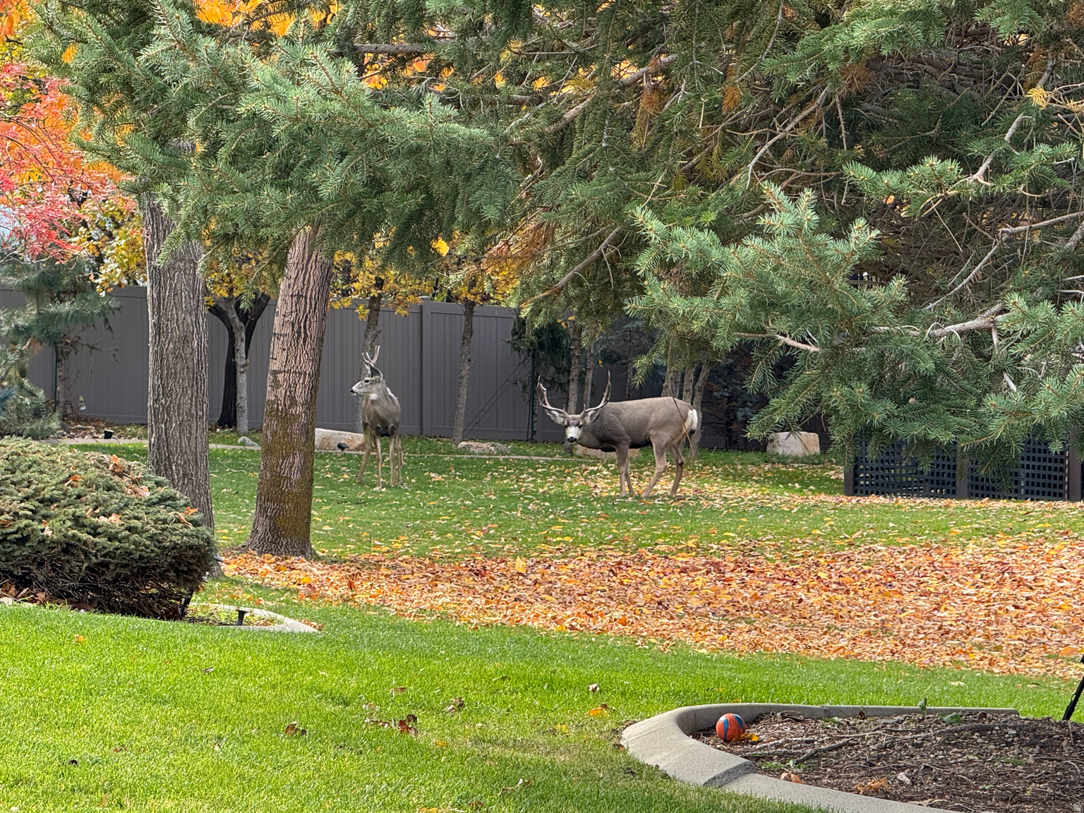 2066 E TIVOLI CT, Draper, UT, 84020