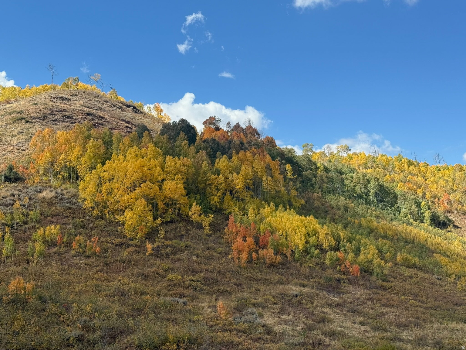 5762 ASPEN WAY UNIT 20, Huntsville, UT, 84317