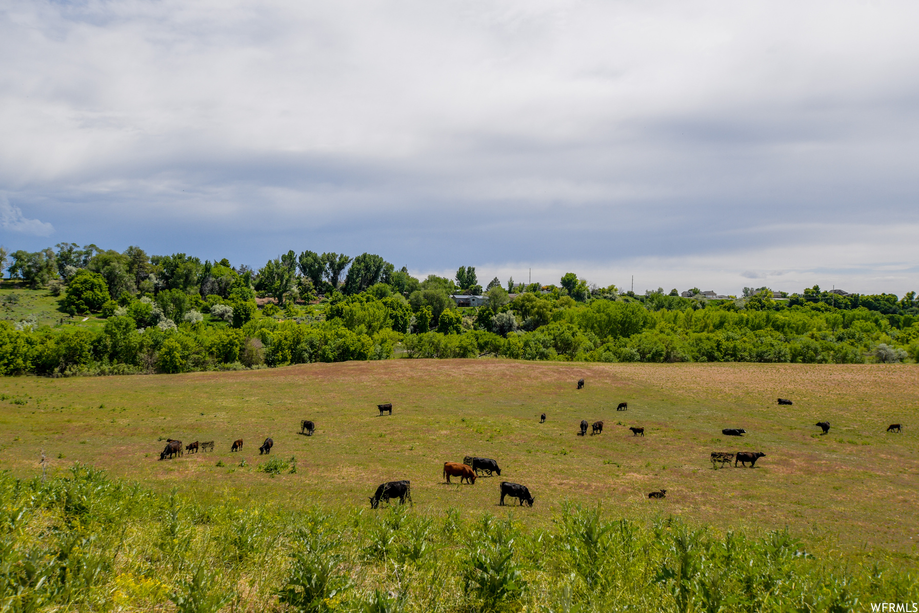 Deweyville UT 84309 746,410