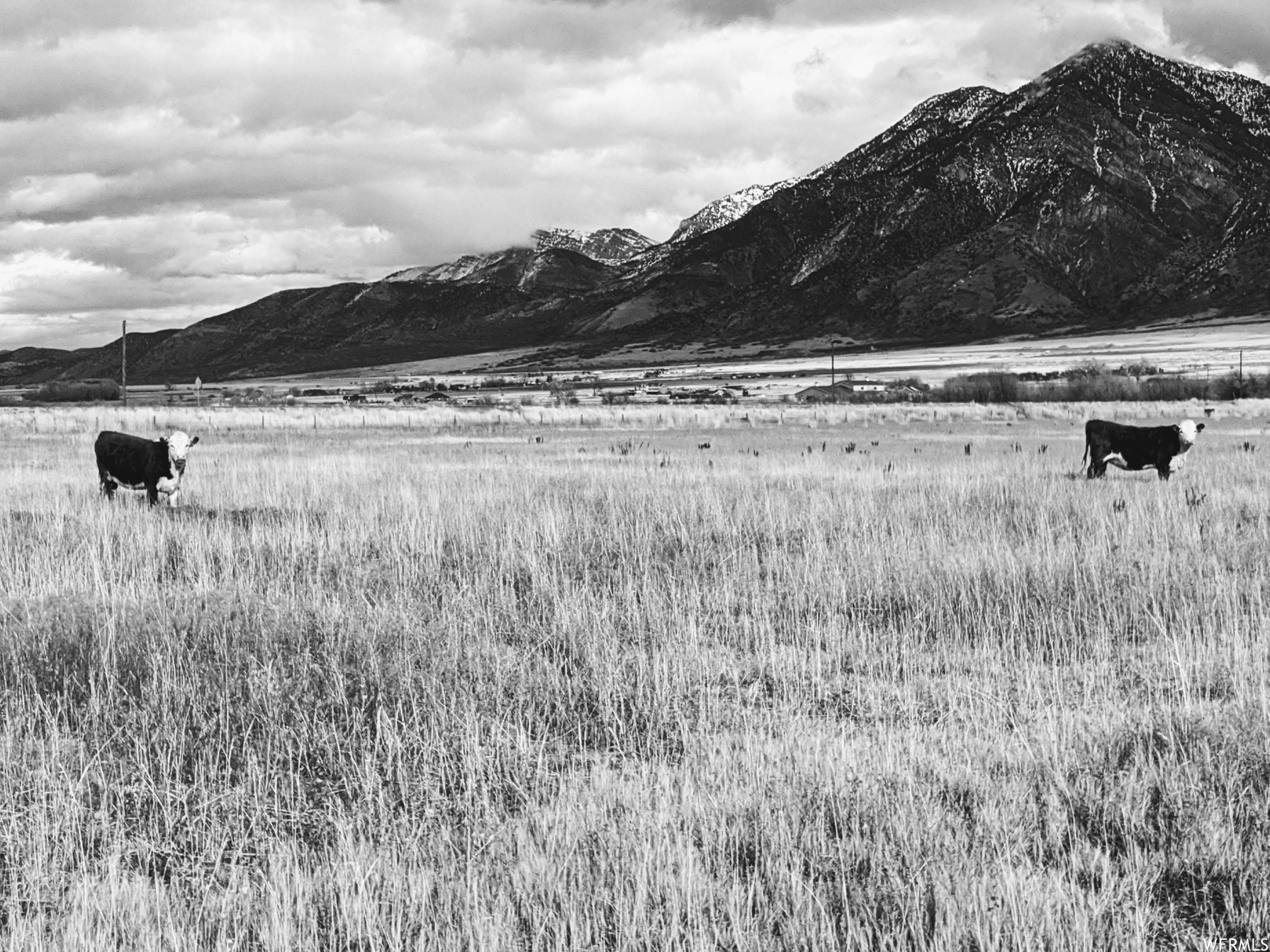 912 W Goshen Rd Mona UT 84645 535,000