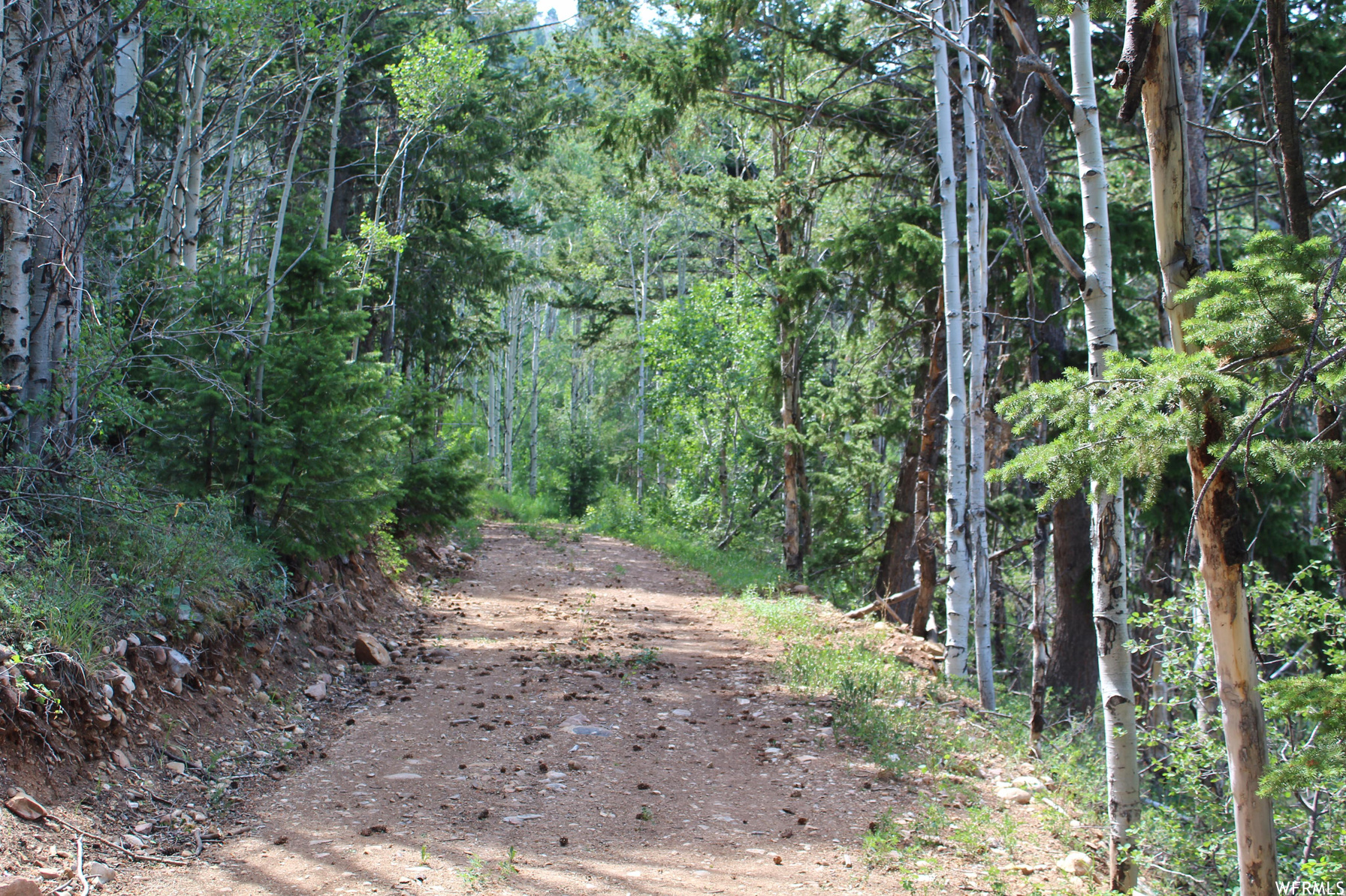 33 Tabby Hts Tabiona UT 84072 129,900