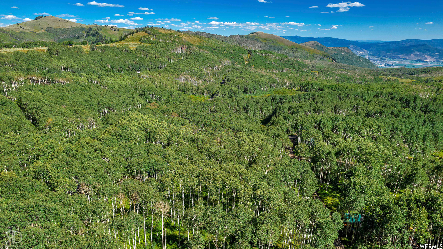 2156 W Bluebell Rd Midway UT 84049 95,000