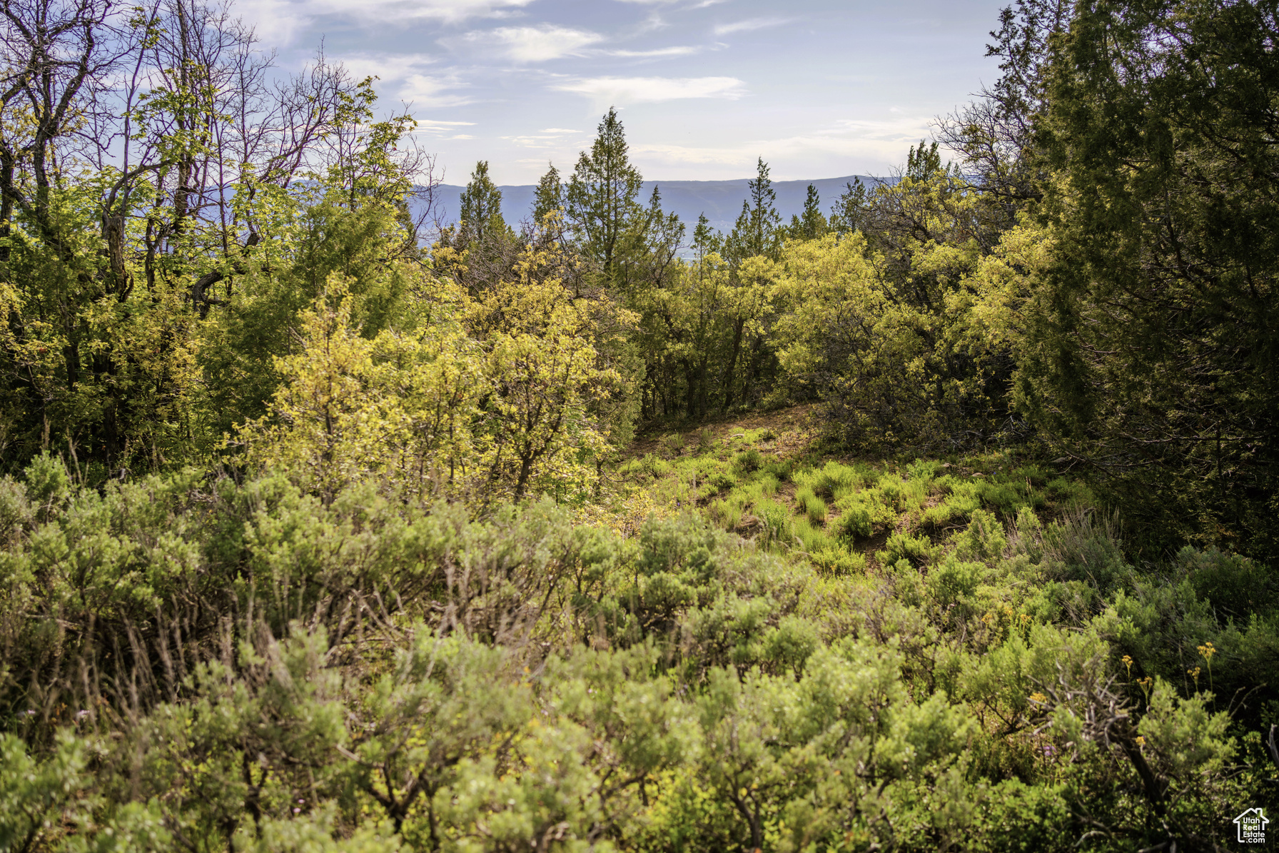 22 Oak Crest Dr Mt Pleasant UT 84647 60,000