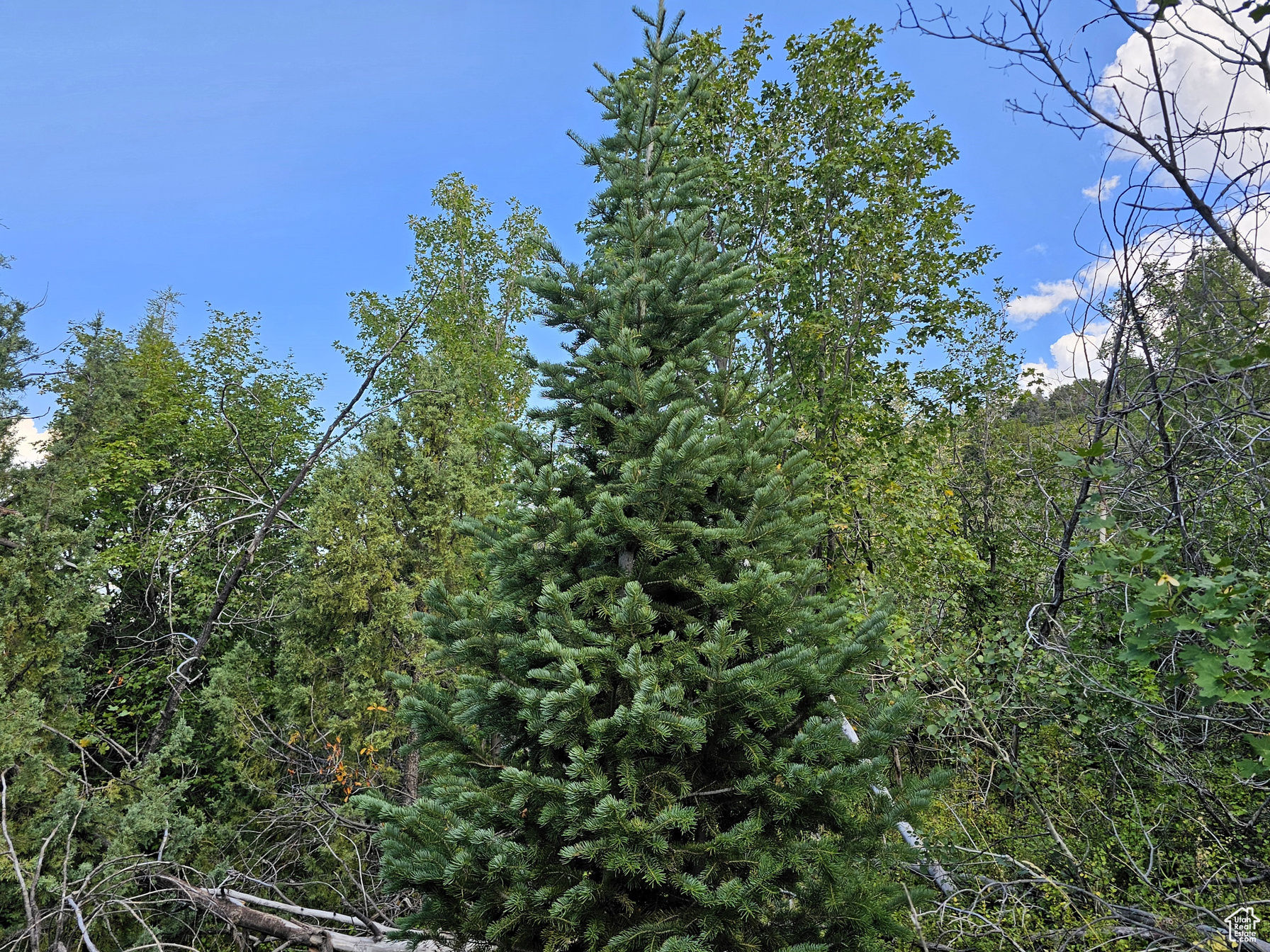 22 Pine Creek Rd Mt Pleasant UT 84647 69,000