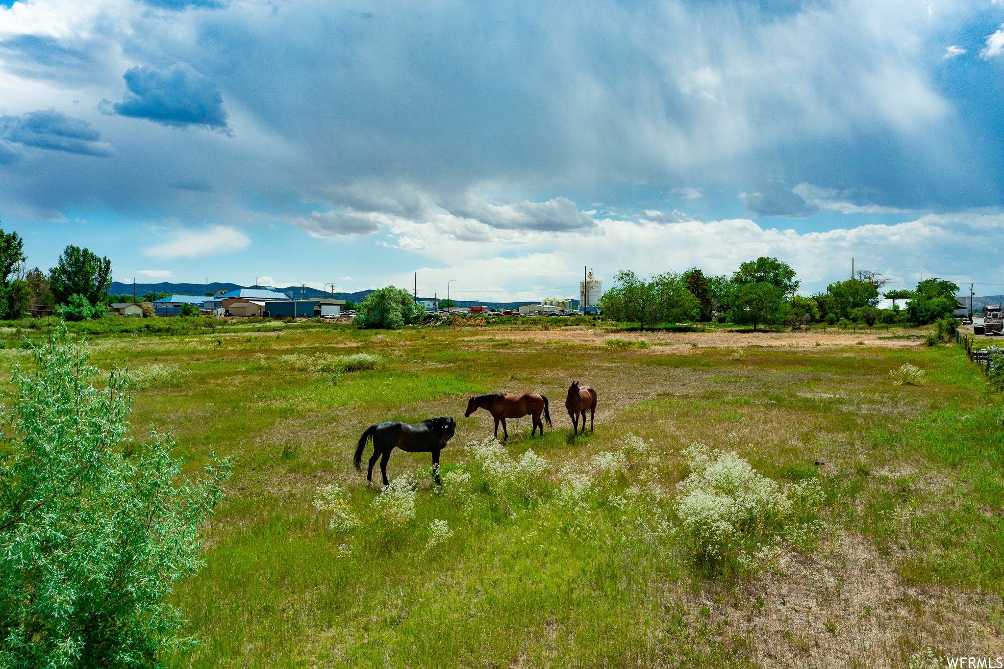 2091 S 1500 E, Vernal, Utah 84078, ,Commercial Sale,For sale,1500,1771070