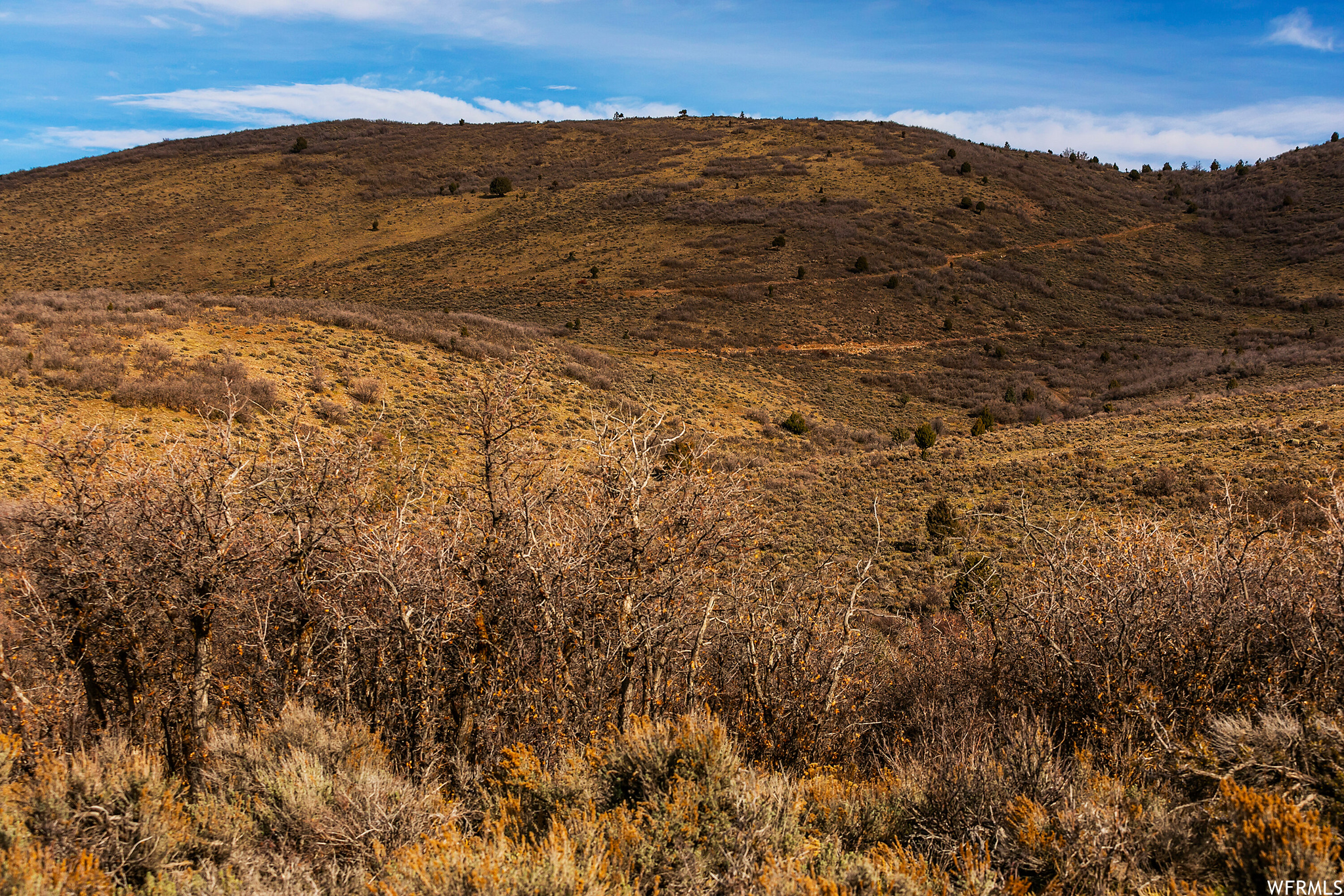 1519 HIGH COUNTRY #48, Francis, Utah 84036, ,Land,For sale,HIGH COUNTRY,1789041