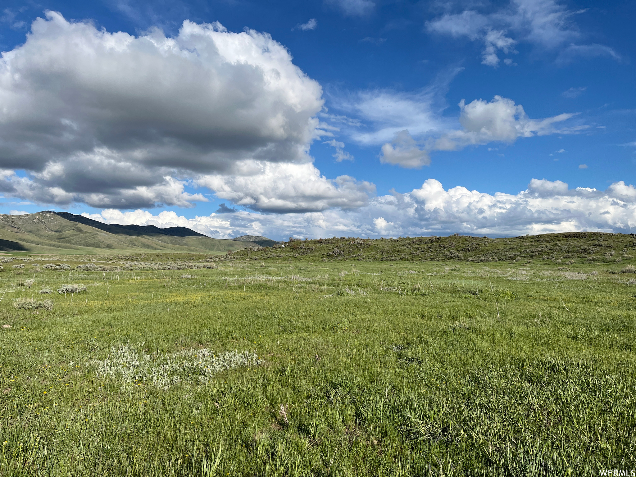 Bancroft, Idaho 83217, ,Land,For sale,1791542