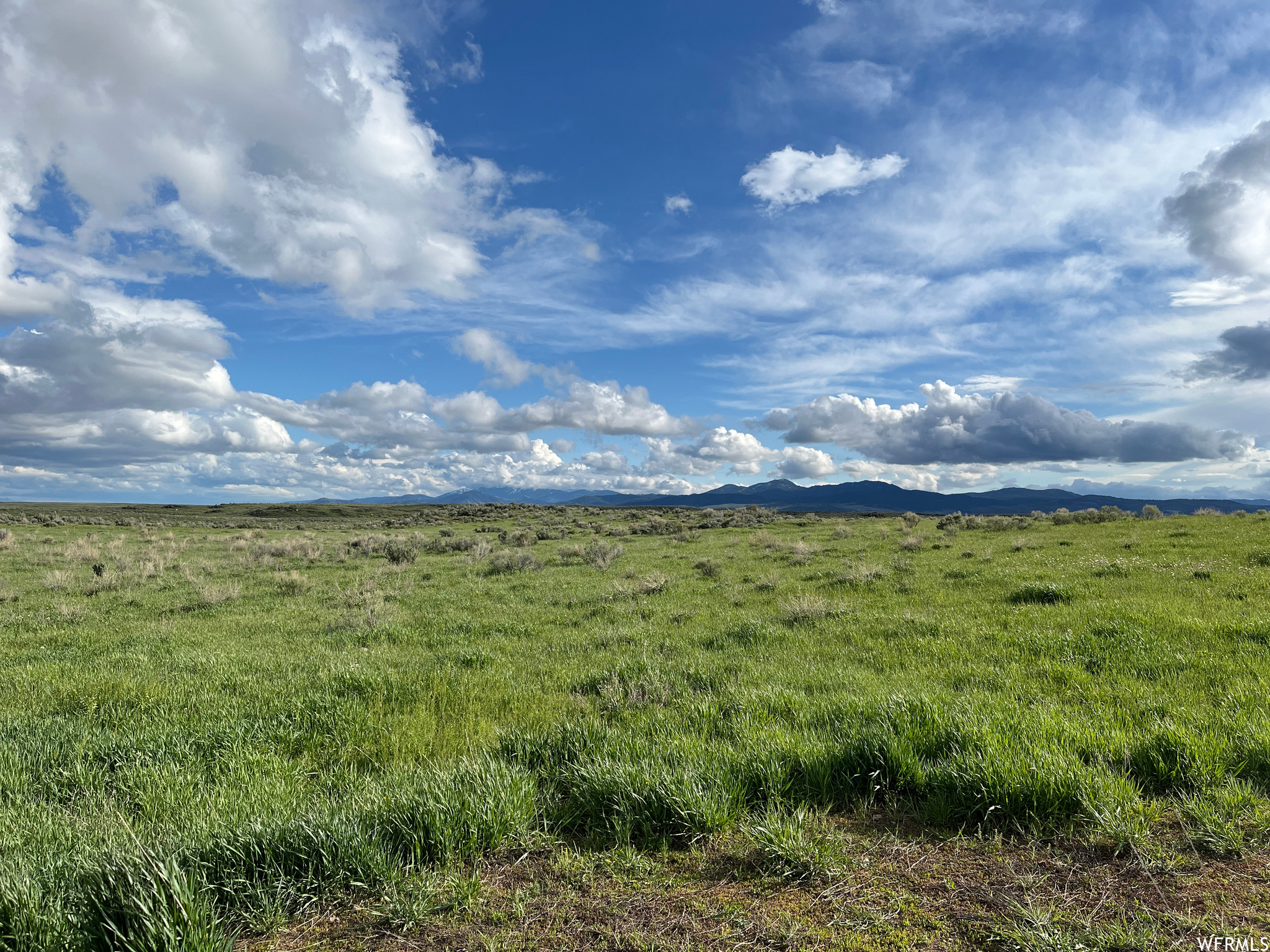 Bancroft, Idaho 83217, ,Land,For sale,1791542