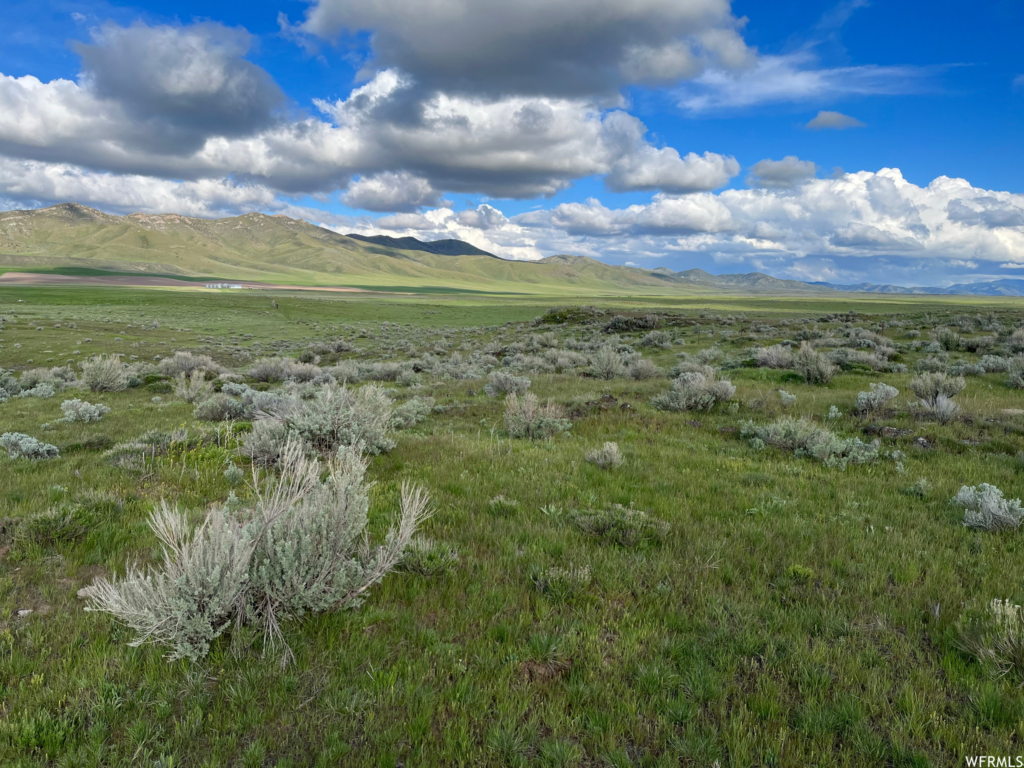 Bancroft, Idaho 83217, ,Land,For sale,1791542