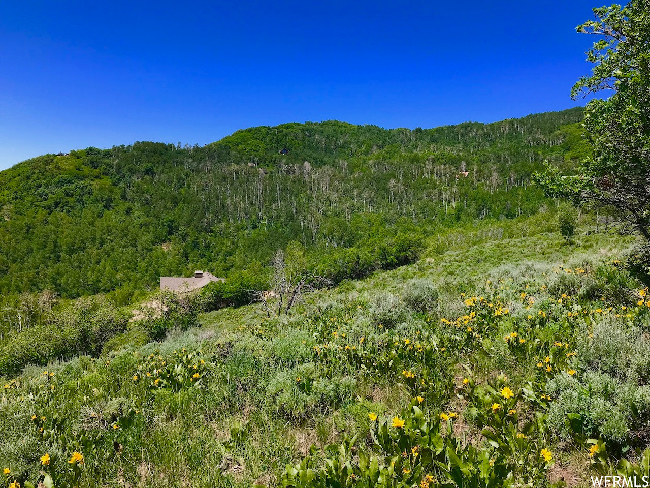 166 CANYON RIM, Oakley, Utah 84055, ,Land,For sale,CANYON RIM,1809163