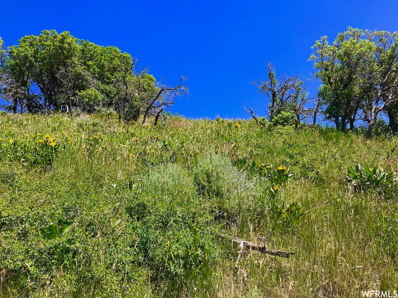 166 CANYON RIM, Oakley, Utah 84055, ,Land,For sale,CANYON RIM,1809163