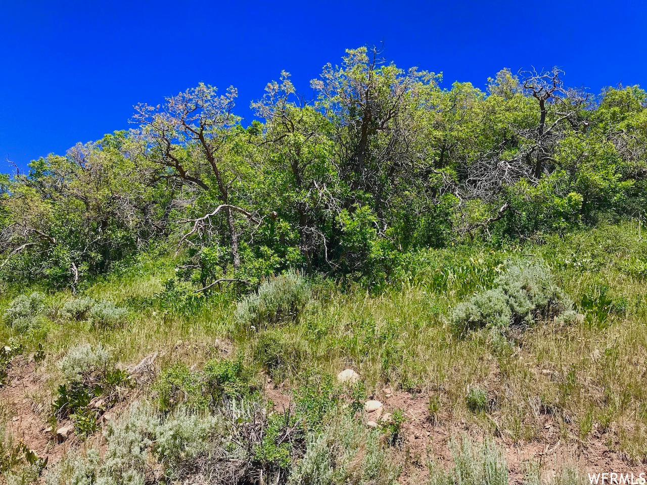 166 CANYON RIM, Oakley, Utah 84055, ,Land,For sale,CANYON RIM,1809163