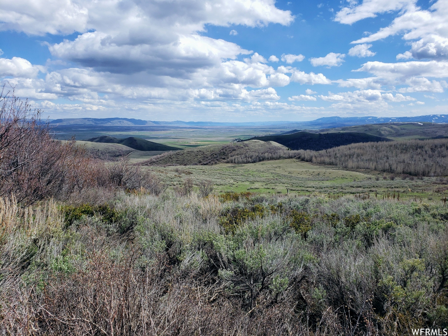 13 BERN NOUNAN, Bern, Idaho 83220, ,Land,For sale,BERN NOUNAN,1809430