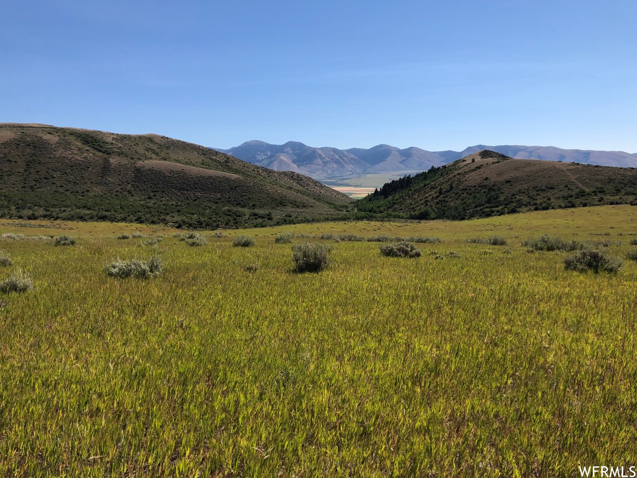 13 BERN NOUNAN, Bern, Idaho 83220, ,Land,For sale,BERN NOUNAN,1809430