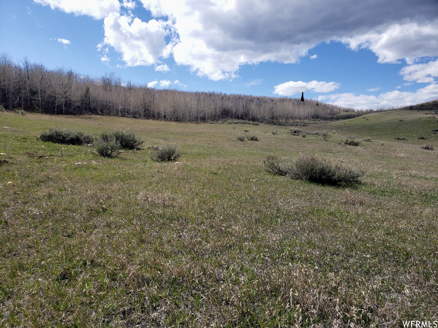 13 BERN NOUNAN, Bern, Idaho 83220, ,Land,For sale,BERN NOUNAN,1809430