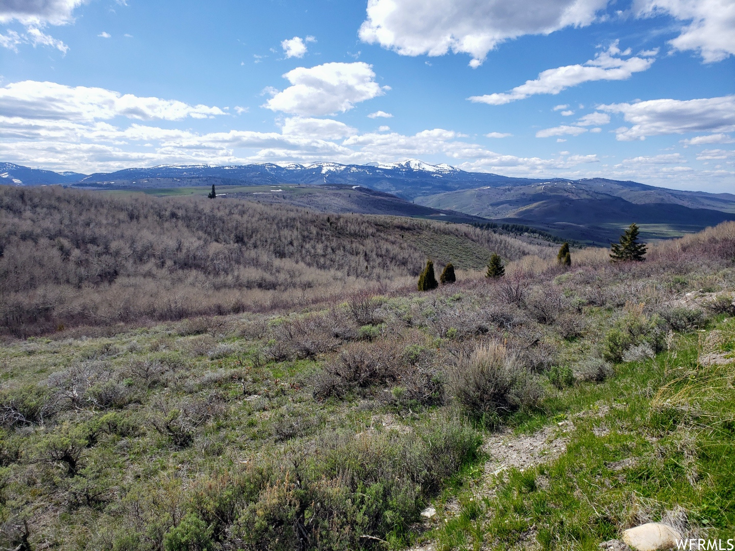 13 BERN NOUNAN, Bern, Idaho 83220, ,Land,For sale,BERN NOUNAN,1809430