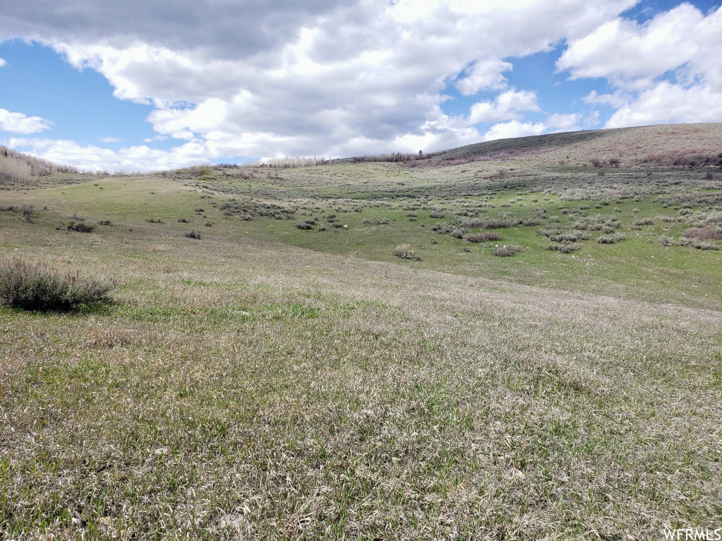 13 BERN NOUNAN, Bern, Idaho 83220, ,Land,For sale,BERN NOUNAN,1809430